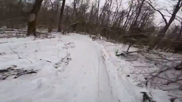 Спот ИЗВАРИНО зимой