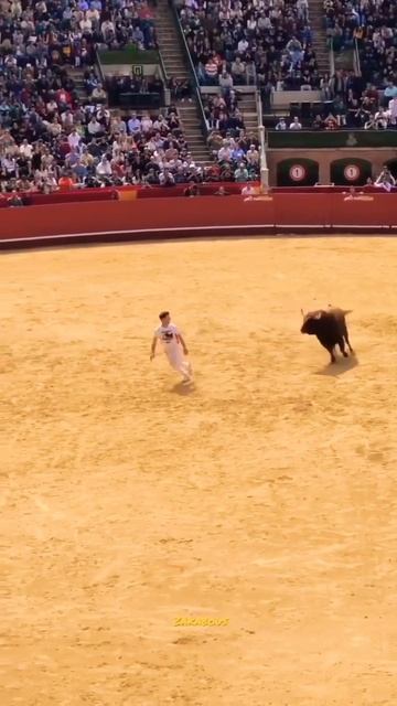 Angry 💥 Bull play Yeung Boy 🇧🇩 unbelievable moments in Angry Brahman #angrybulls #bullsplay #shorts смотреть онлайн