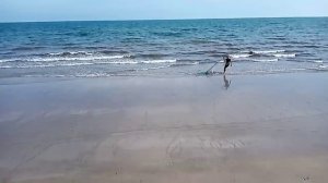 Вьетнам, Муйне. Обзор Отеля Dinasty Beach Resort  3*