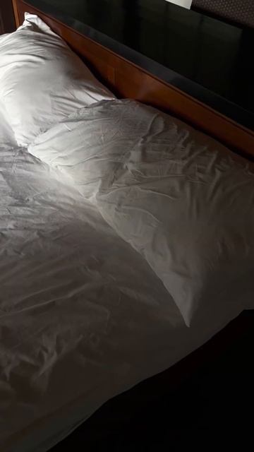 Cпокойные выходные в отеле среди джунглей смотреть онлайн