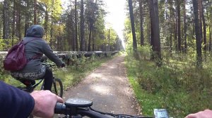Осенний бор - катание на велосипеде