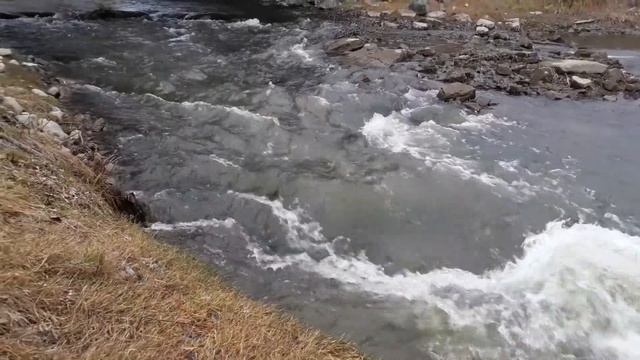 Уень в Пристань Почте смотреть онлайн