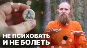 Нейропластичность. Как управлять эмоциями и предотвращать болезни