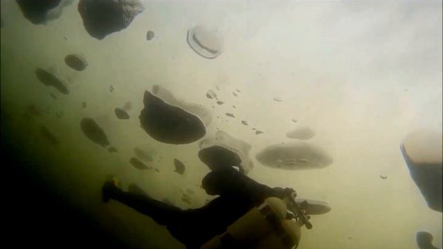 PADI Ice Diver 2017 смотреть онлайн