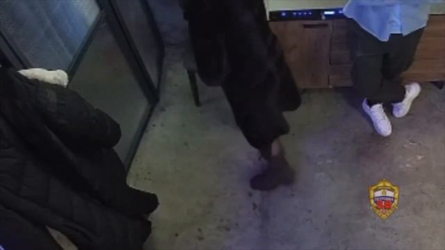 🧥 Девушка украла шубу за 270 000₽ у посетительницы кафе в центре Москвы. смотреть онлайн