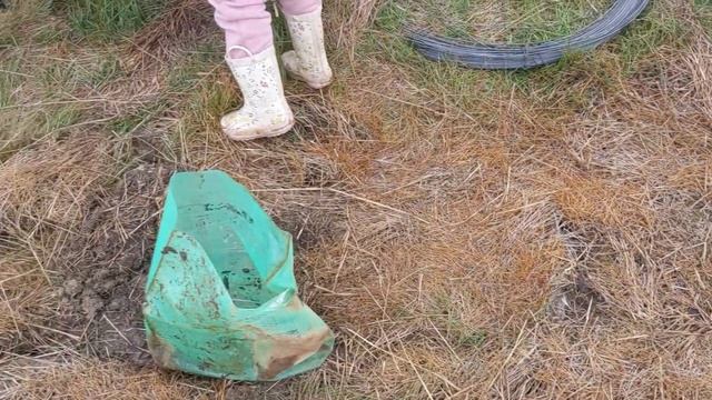 PLANTING 500 TREES WITH A POTTIPUTKI | A day of planting trees with landcare on the farm. смотреть онлайн