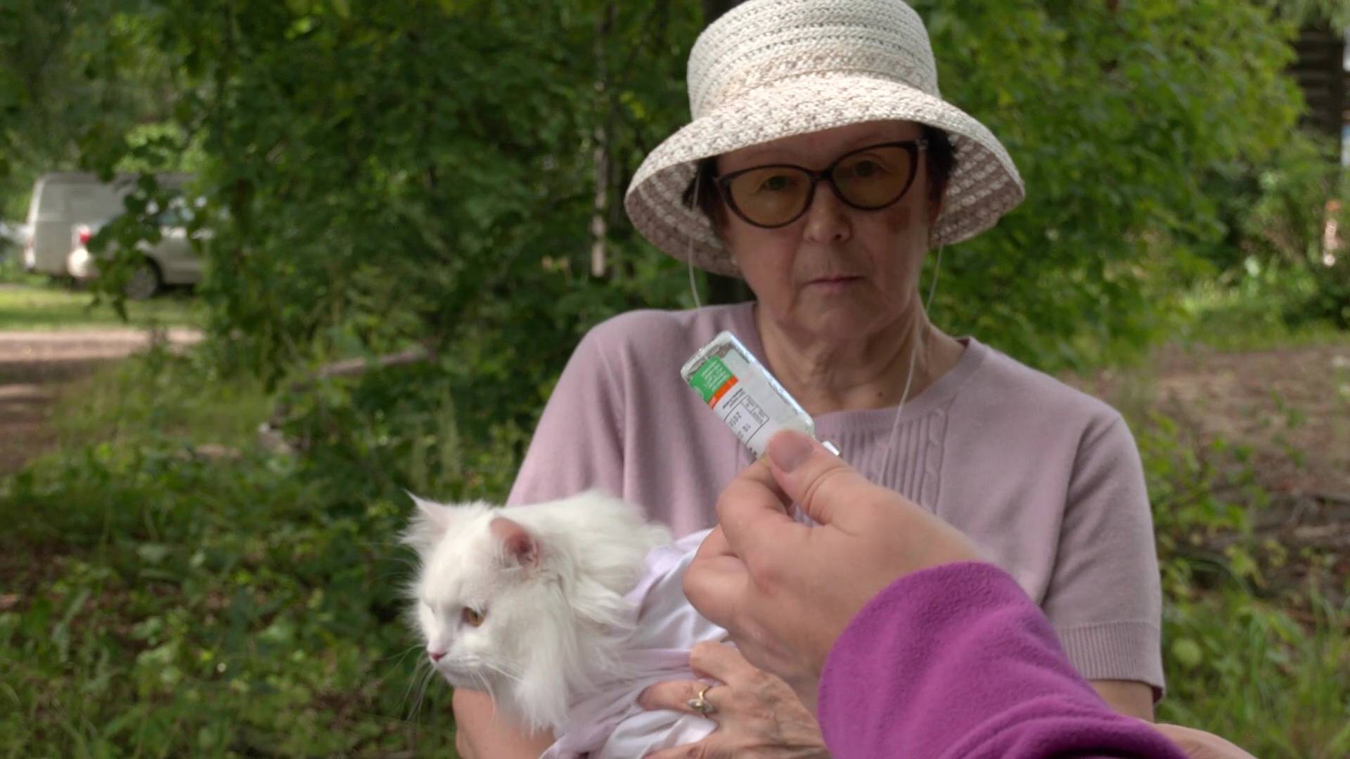 Жители Марий Эл могут бесплатно привить животных против бешенства смотреть онлайн