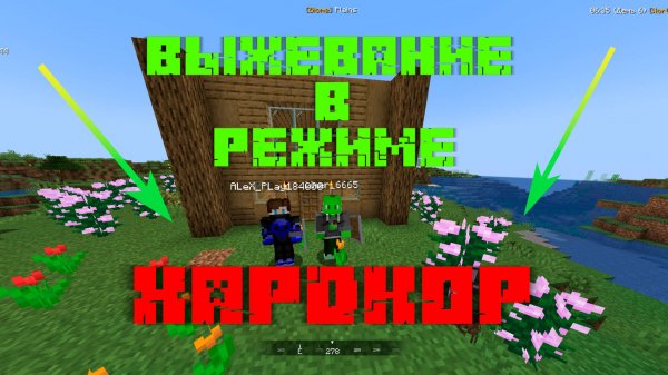 ВЫЖИВАЕМ С АЛЕС_ПЛЕЕМ В ХАРДКОР РЕЖИМЕ // Limer AleX_Play