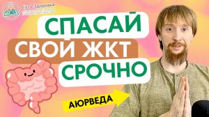 СДЕЛАЙ ЭТО СРОЧНО! Как исцелить свой ЖКТ: желудок и кишечник с помощью питания и Аюрведы!