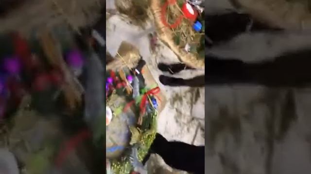 trotsko masha Рождественский венок смотреть онлайн