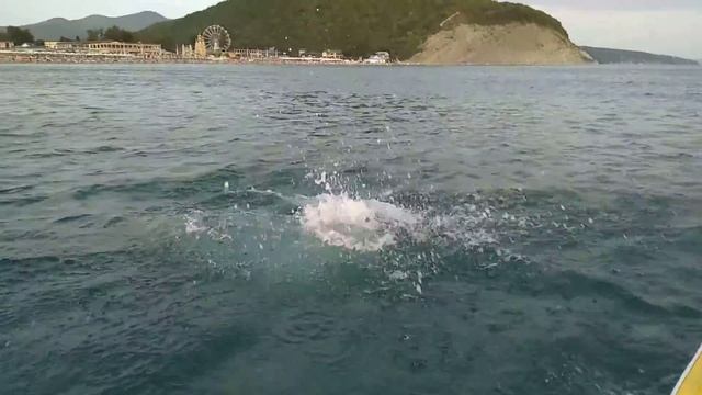 Мы в Архипо-осиповке(1) смотреть онлайн