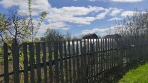 Сад после зимы. 24 апреля