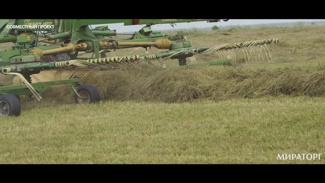 Мираторг. Спецпроект для компании смотреть онлайн