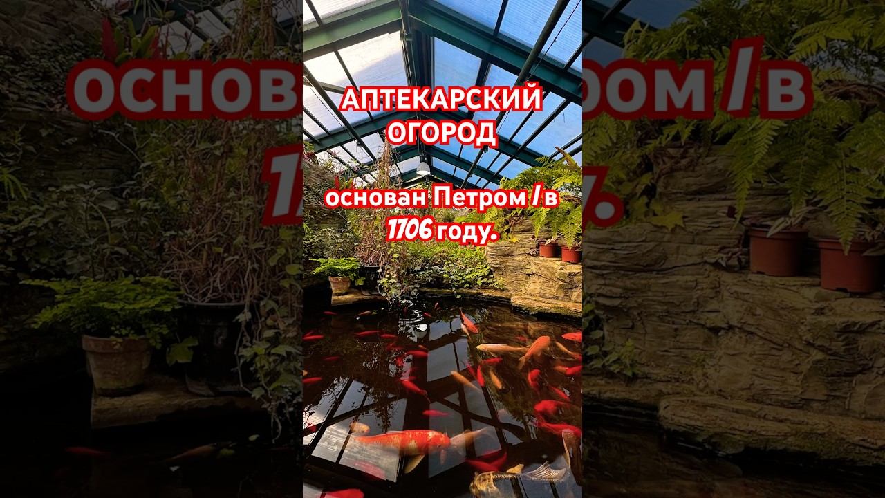 #москва #россия #ботаническийсад #цветы #красиво #подпишись #взаимнаяподписка #ютуб #ютубшортс