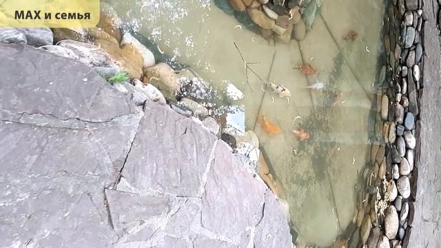 Смотрим рыб в искусственном водопаде Восход Междуреченск смотреть онлайн