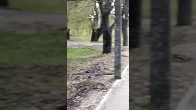Утки по дороге на юг смотреть онлайн