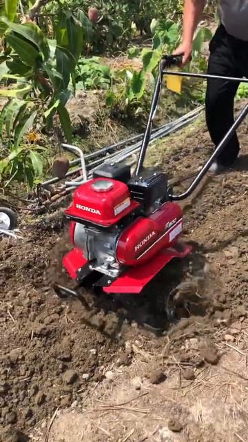 本田honda手提式無輪式自走式中耕機開溝器培土刀鬆土刀四行程輕拉啟動大順展農日農春風元凱小牛啟發佐藤農豐0953-568959欣大和有限公司 смотреть онлайн
