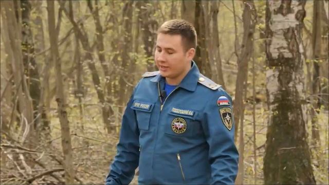 Безопасность в лесу | Безопасное детство смотреть онлайн