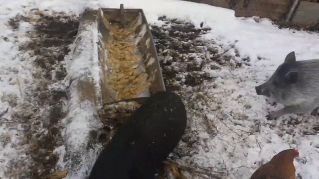 перший сніг на дачі смотреть онлайн