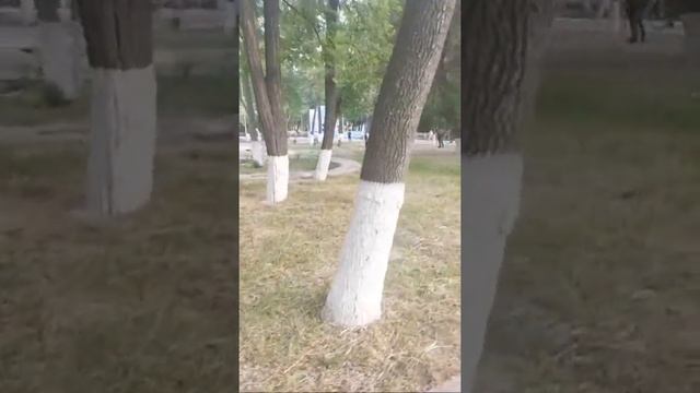 Чирчик Праздник смотреть онлайн