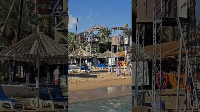 на пляже Fayrouz 4☆| Jaz Sharm Dreams 5☆|Vacation Sgarm Dreams 4☆ 17.02.24#sharm #egypt #naamabay смотреть онлайн