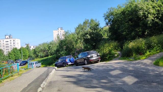 Мурманск, июльские погоды ( Северный проезд 7 ). смотреть онлайн