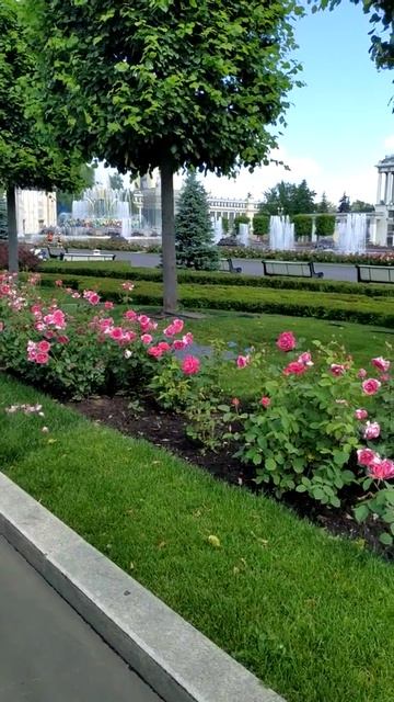 ВДНХ обожаю каменный цветок! смотреть онлайн