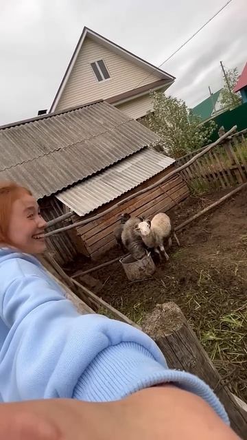 Мы уже месяц в Удмуртии и кажется... мы сходим с ума🤣 #семья #веселаясемья #удмуртия #юмор смотреть онлайн