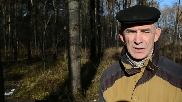 Жители Подольска против изъятия под вырубку лесопарка Дубки смотреть онлайн