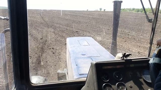 Посівна сіем соняшник смотреть онлайн