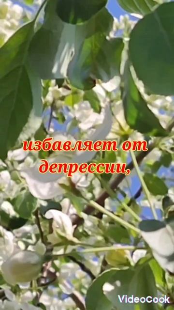 Поднимает настроение!