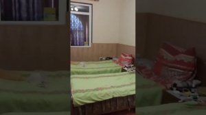 Гостевой дом «Олимп» .Гагра