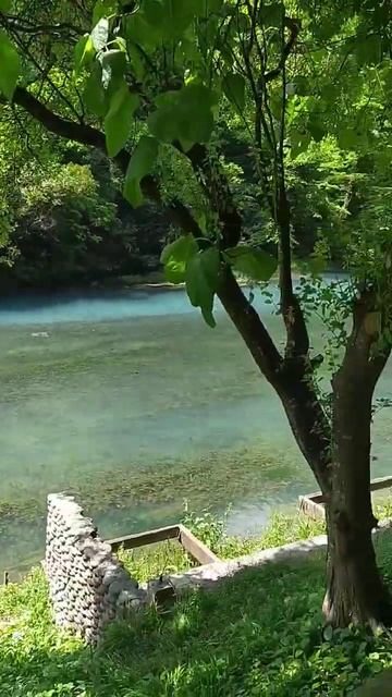 прозрачные лодки смотреть онлайн