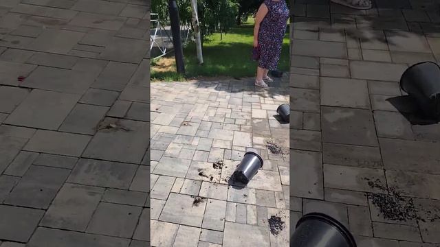 7 гвардейская. Волгоград. Центральный. смотреть онлайн