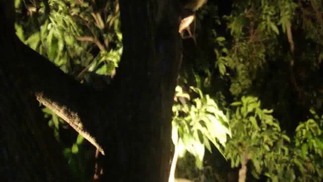 Шри-Ланка, Anuradhapura District, Анурадхапура - Creston Park смотреть онлайн