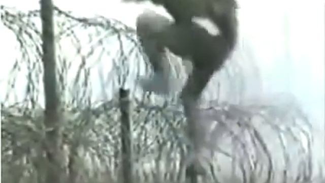 Вымпел КГБ СССР смотреть онлайн