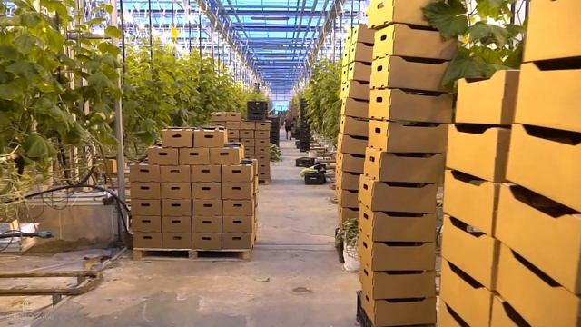 ПОЧЕМУ КАРТА БАЛИ РАЗНОЦВЕТНАЯ | как выбрать нужную зону для инвестиций #инвестициивнедвижимость смотреть онлайн