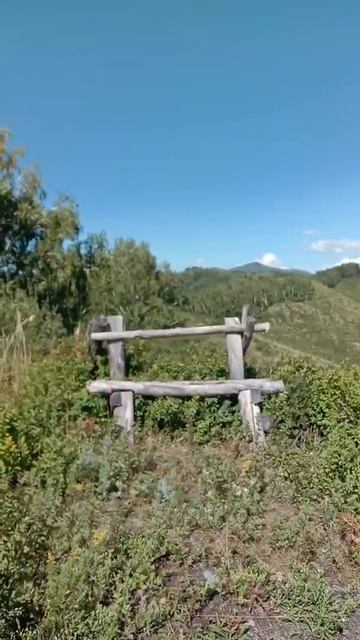 Горный Чарыш. 16.07.2021 смотреть онлайн