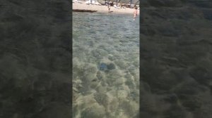 республика Крым, Россия, пгт Оленёвка или Оленевка (как правильно пишется и произносится не знаю)