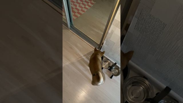 Последние новинки