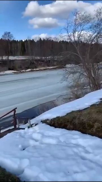 В ожидании ледохода на река Дубна. 09.04.2022 г. смотреть онлайн