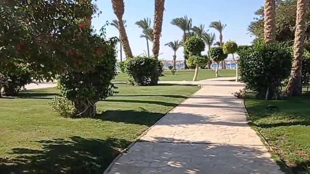 The best resort of Hurgada! Piramissa Sahl Hasheesh🏖️Пирамисса Сахл Хашиш!Пляж, бассейны, территори смотреть онлайн