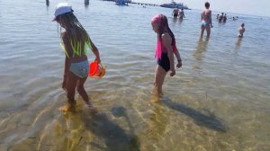 Скадовск море.