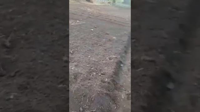 ПРИВЕТ ОТ БАБУШКИ. ОГОРОД. ЛЕТО 2021 ГОДА. ПОСАДКА ОВОЩЕЙ. смотреть онлайн