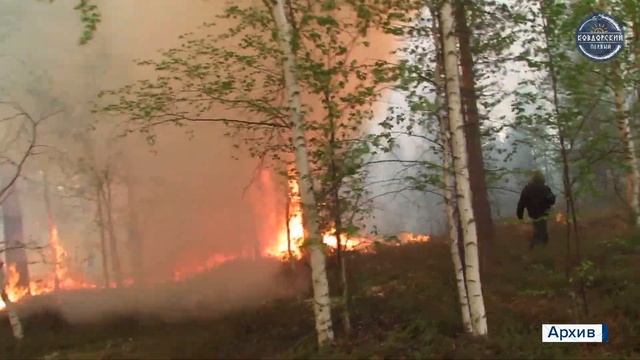Не шутите с огнем смотреть онлайн