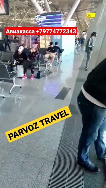 Аэропорт Внуково смотреть онлайн