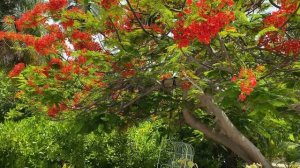 🔥 Потрясающий Отель на Мальдивах! Villa Park - Sun Island 5* Мальдивы 🇲🇻