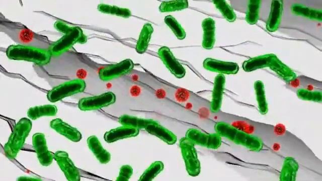 Принцип действия моющих пробиотиков PiP смотреть онлайн