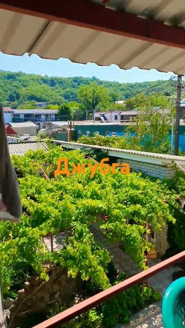 19 июня 2024 г. смотреть онлайн