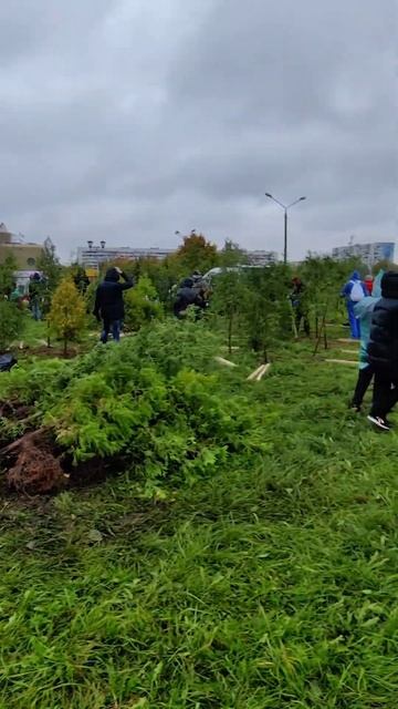 "Зеленый лабиринт" появится в парке Тысячелетия Витебска смотреть онлайн